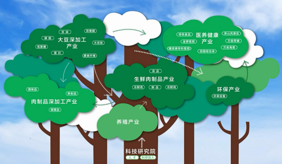 开云官方网站-关于特色品牌推广带动篮球产业多元化发展，打造新优势的信息
