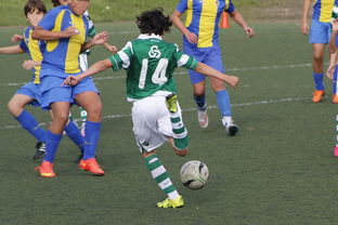 开云·体育官网APP下载-国际足球协会推动足球全民普及，青少年参与度飙升，各国青少年足球注册人口